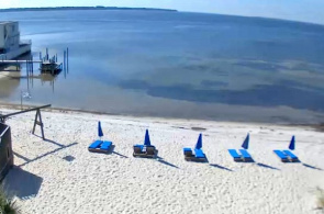 Hotel Buccaneer Beach Motel Florida在线优惠码