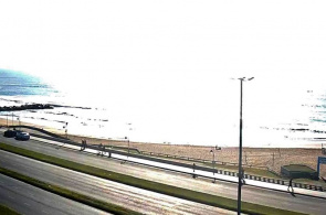 Norte Mar del Plata。网络摄像头Mar del Plata在线