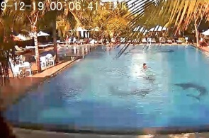 SEALION BEACH RESORT＆SPA 4 *网络摄像头在线